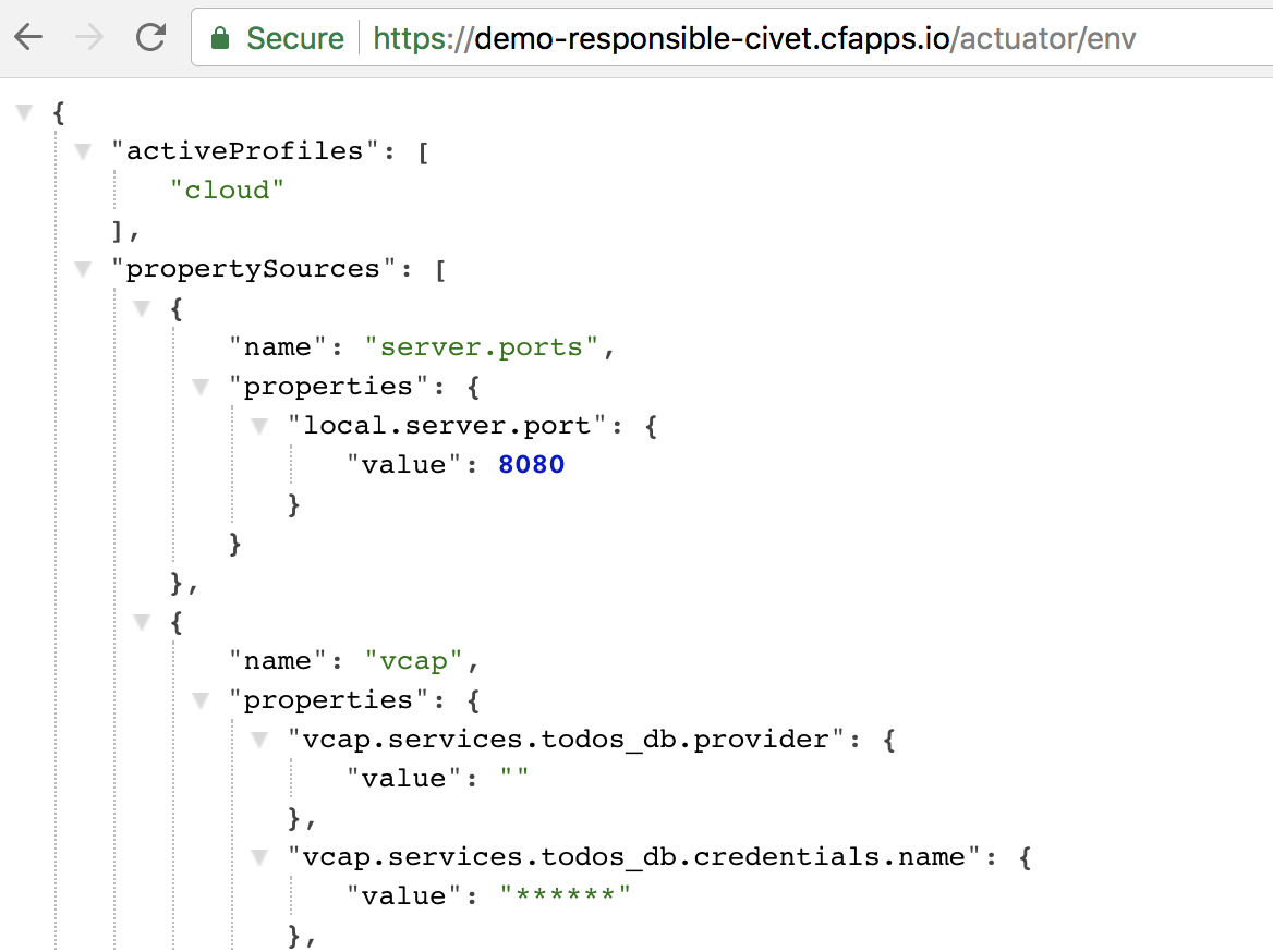 env endpoint pcf