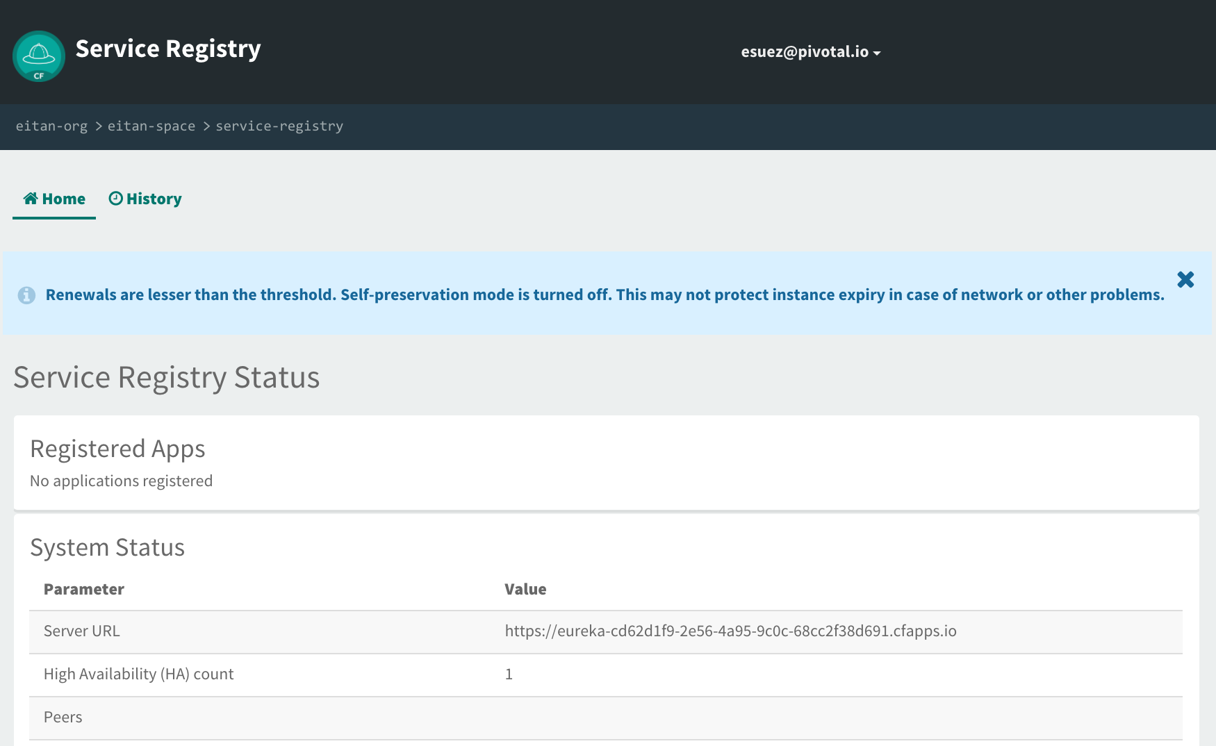 cf eureka dashboard